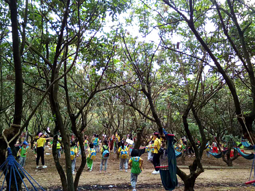 深圳農家(jiā)樂九龍山(shān)生(shēng)态園迎來(lái)陽升幼兒園大(dà)班親子遊畢業典禮之旅