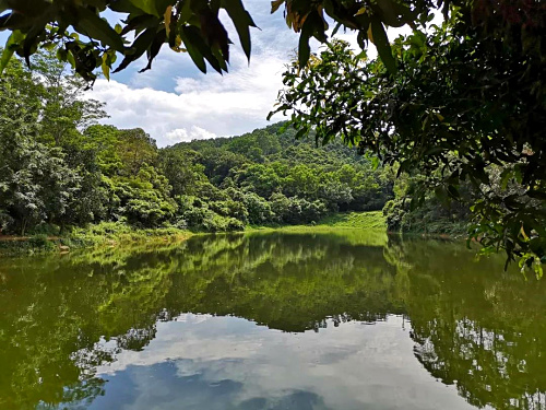 居衆設計(jì)院助理(lǐ)部深圳九龍山(shān)生(shēng)态園團建活動