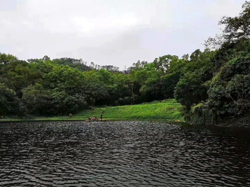 天鵝湖(hú).jpg